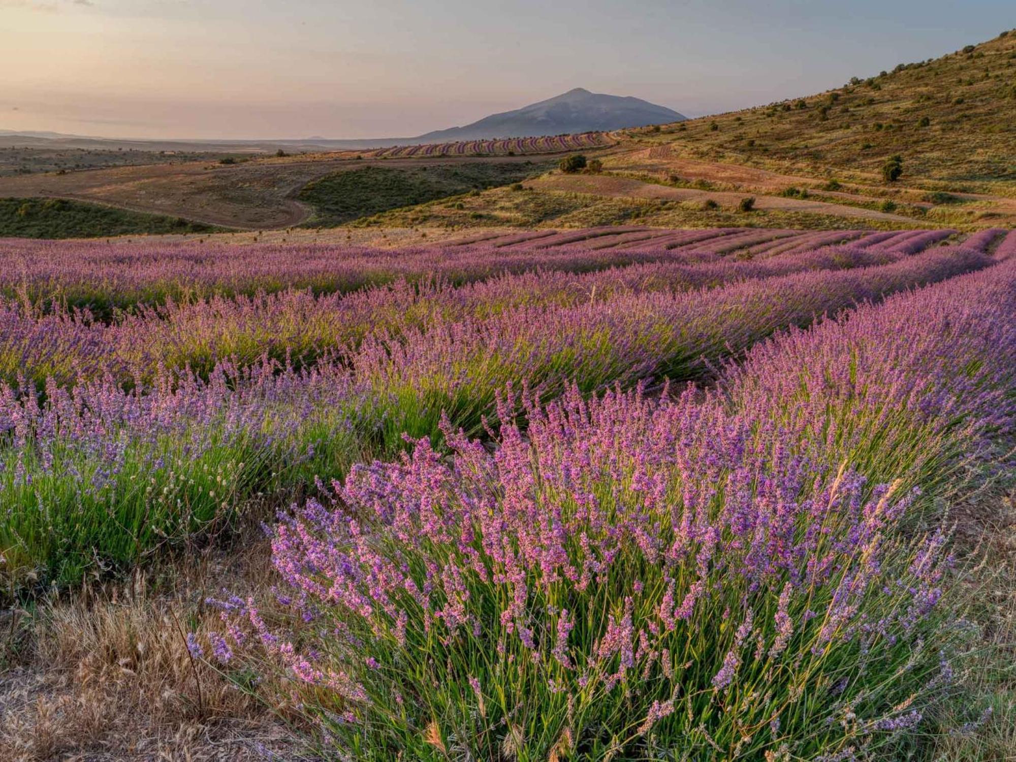 Las Abadias San Felices  ภายนอก รูปภาพ