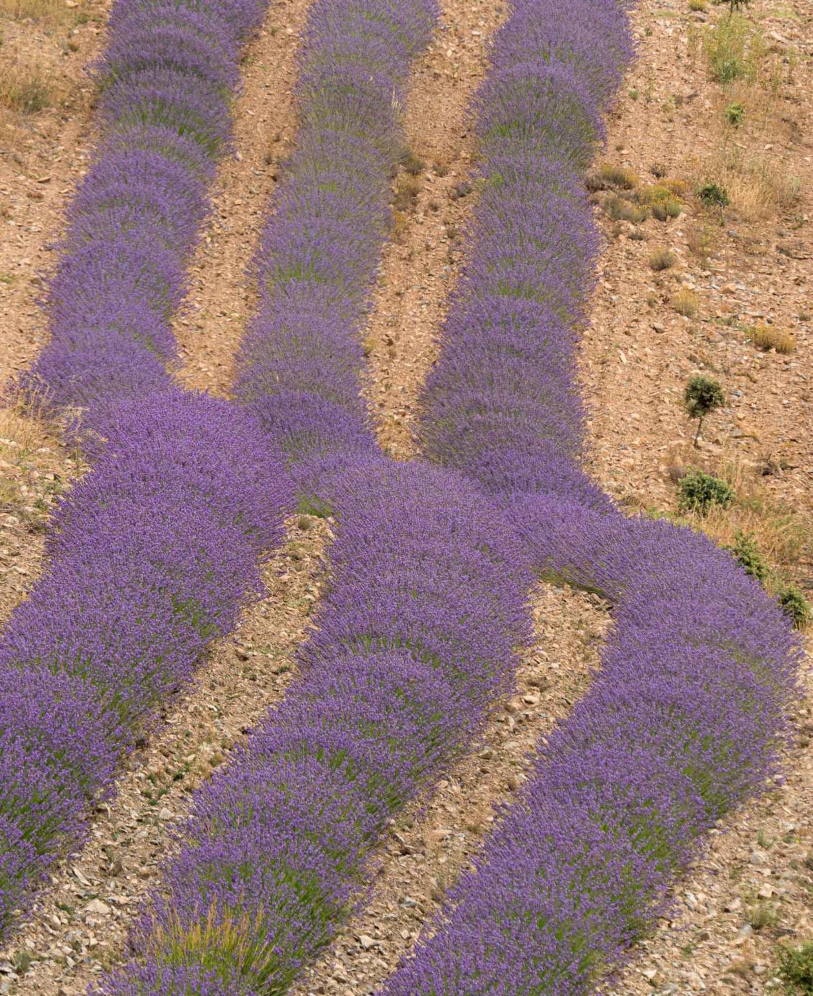 Las Abadias San Felices  ภายนอก รูปภาพ