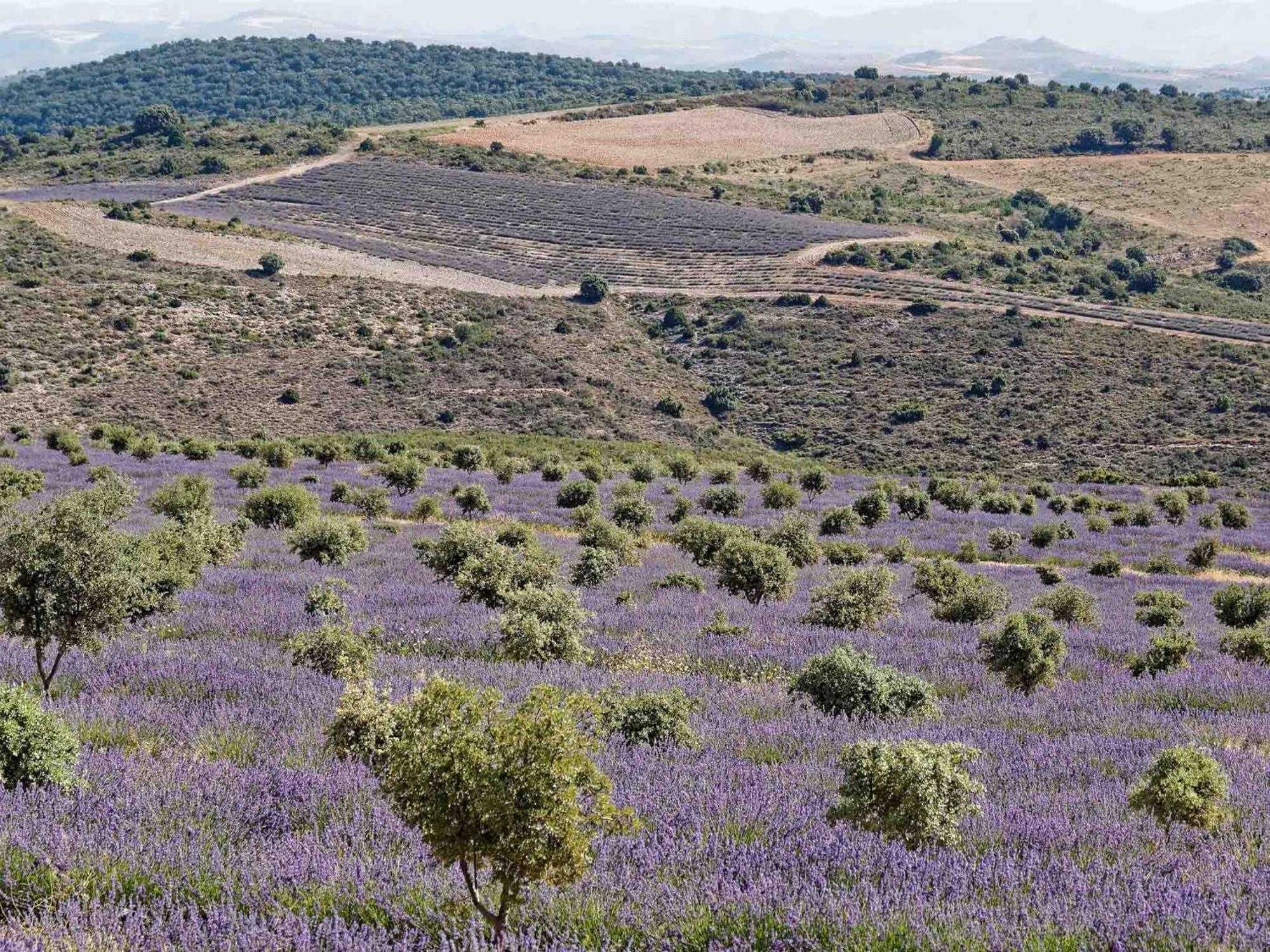 Las Abadias San Felices  ภายนอก รูปภาพ